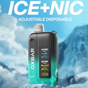 Ice Nic 50K Disposable Vape